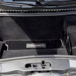 bugatti-veyron-mansory-linea-vivere-for-sale-15